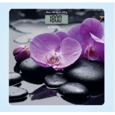 SCARLETT SC-BS33E067