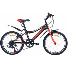 PIONEER BOOMER 20