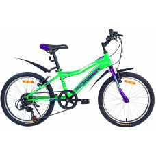 PIONEER BOOMER 20