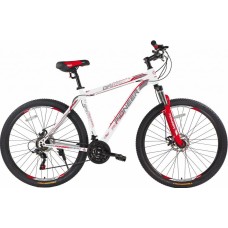 PIONEER DAKAR 29