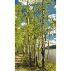 ДЫХАНИЕ ТЕПЛА Электрообогреватель бытовой настенный (рис. Берёзовый берег) Артикул 20с455