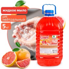 CLEAN&GREEN Жидкое мыло 
