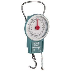 HOMESTAR HS-3010M (107313)