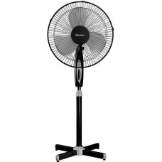 BLACKTON Bt F1120 Black BLACKTON Bt F1120 Black