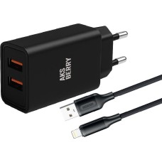 AKSBERRY (6900209210016) T38 2 USB 2.4A + кабель Lightning, черный