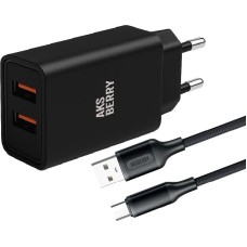 AKSBERRY (6900209220015) T38 2 USB 2.4A + кабель MicroUSB, черный