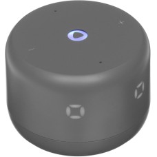 ЯНДЕКС Станция Лайт 2 на YaGPT, модель YNDX-00026 (серый)