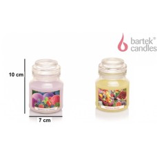BARTEK Фруктовый (FRUITFUL) 130гр в баночке BARTEK Фруктовый (FRUITFUL) 130гр в баночке