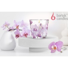 BARTEK Орхидея Фаленопсис (Orchid Phalaenopsis) 115гр в стакане BARTEK Орхидея Фаленопсис (Orchid Phalaenopsis) 115гр в стакане