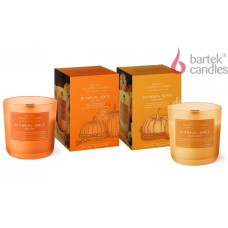 BARTEK Тыквенная приправа (PUMPKIN SPICE) 150гр в стакане BARTEK Тыквенная приправа (PUMPKIN SPICE) 150гр в стакане